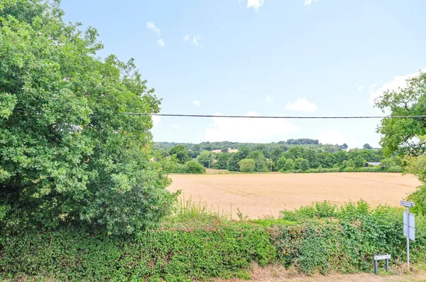 Ivy Cottages, Witts End, MK17 photo 17