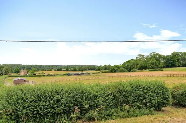 Ivy Cottages, Witts End, MK17 photo 18