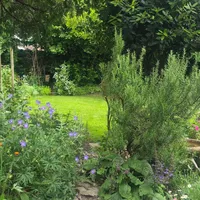 Property 38