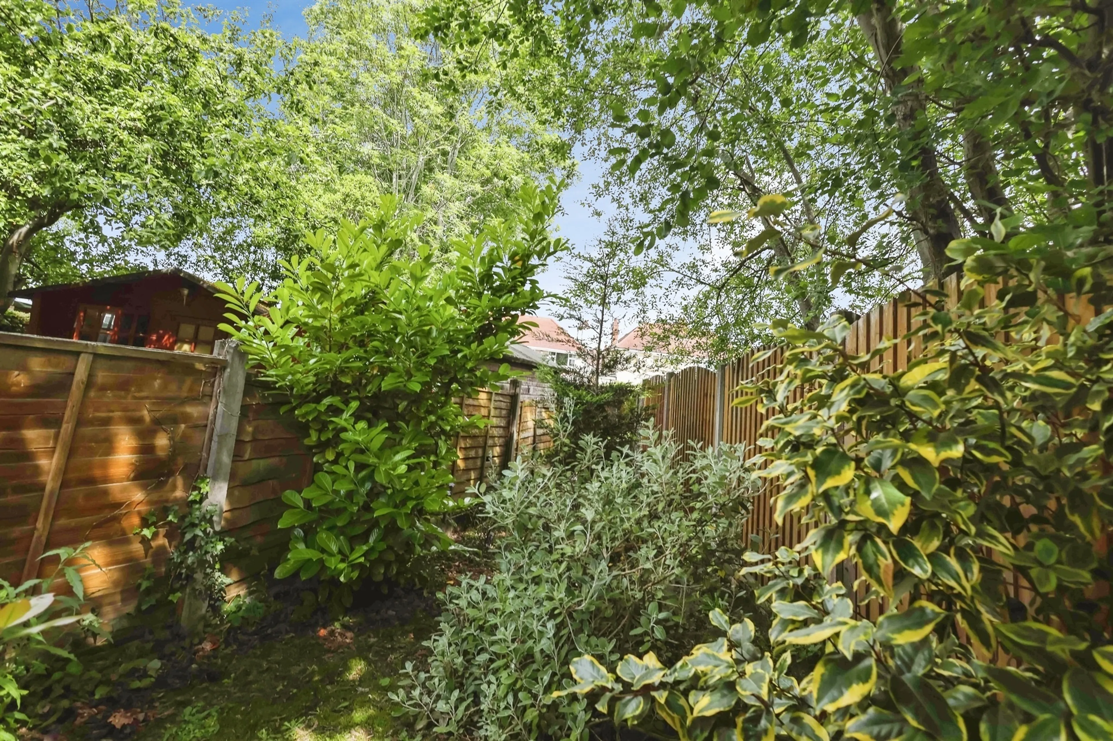 Property photo 20