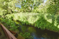 Mill Lane, Witham