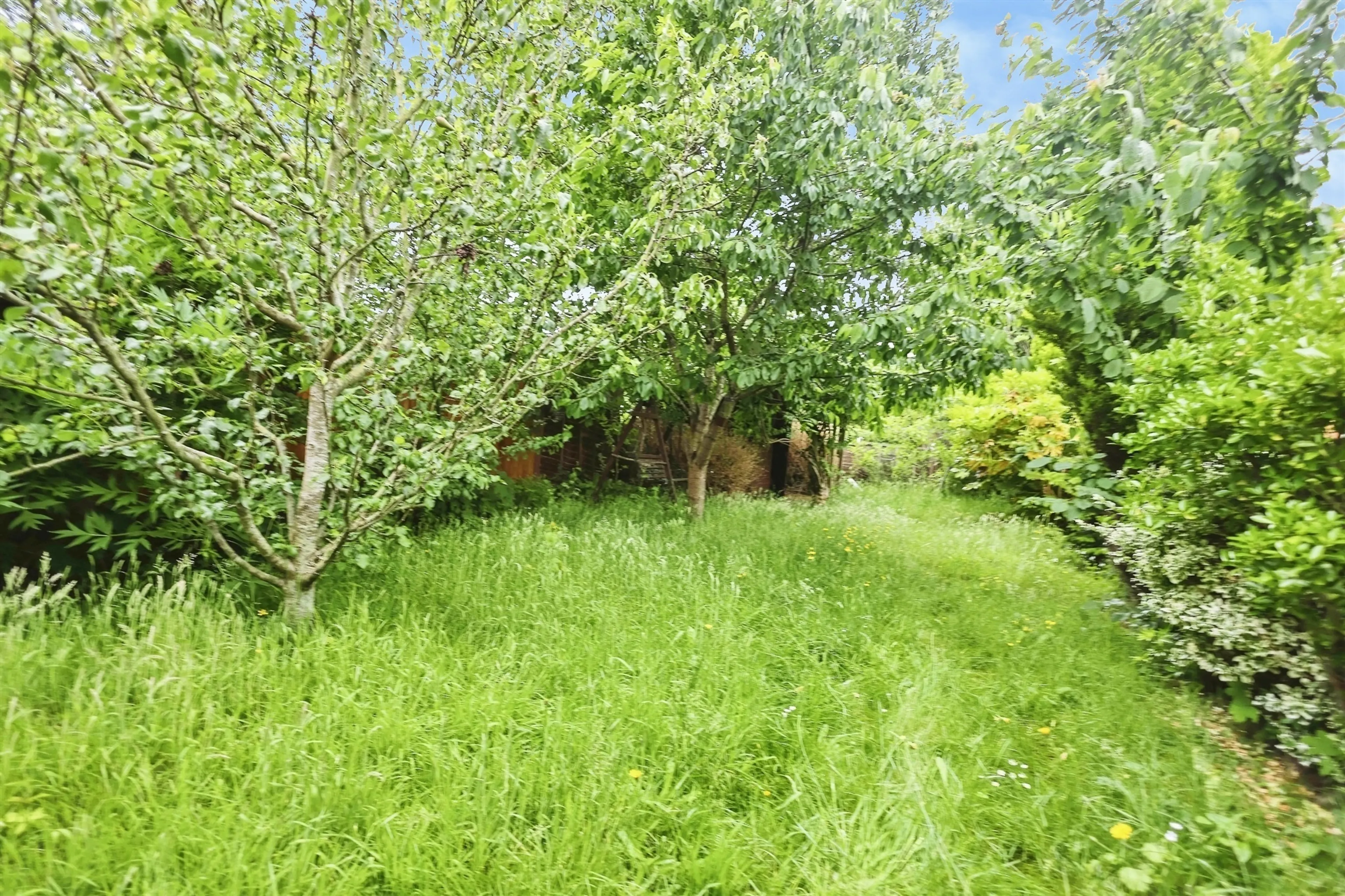 Property photo 19