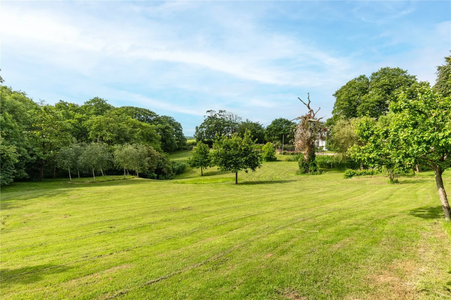 Fairy Cross, Bideford, EX39 photo 28