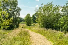 Edmondsham Road, Verwood