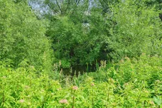 Riverside Close, Kings Langley