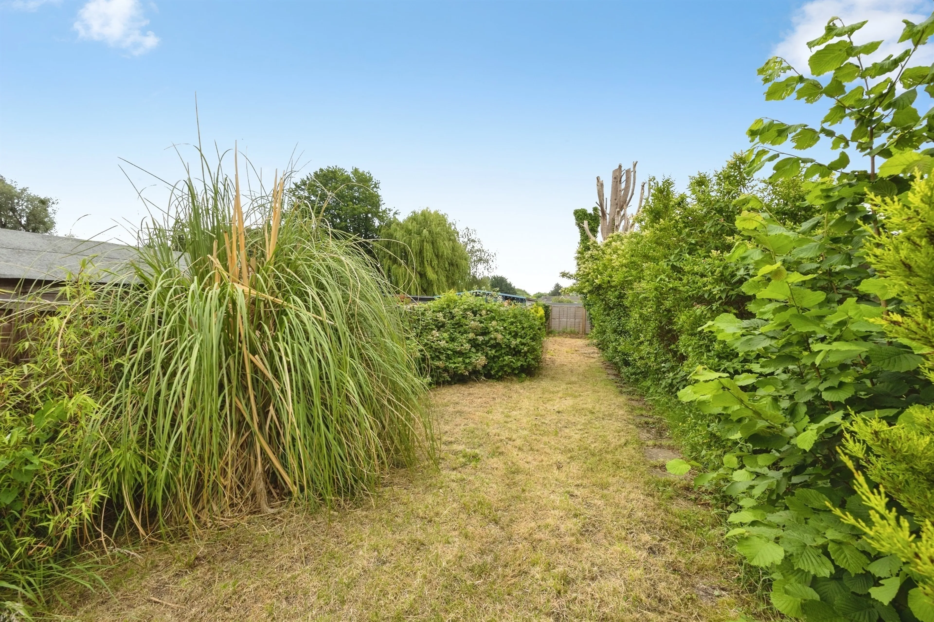 Property photo 16