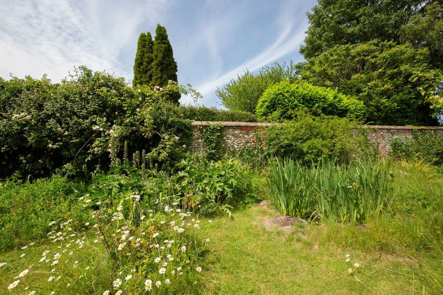 High Street, Wighton, NR23 photo 27
