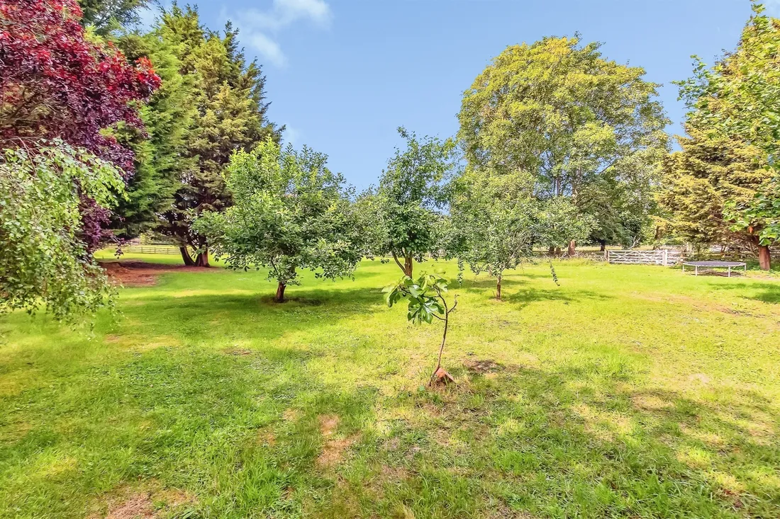 Property photo 22