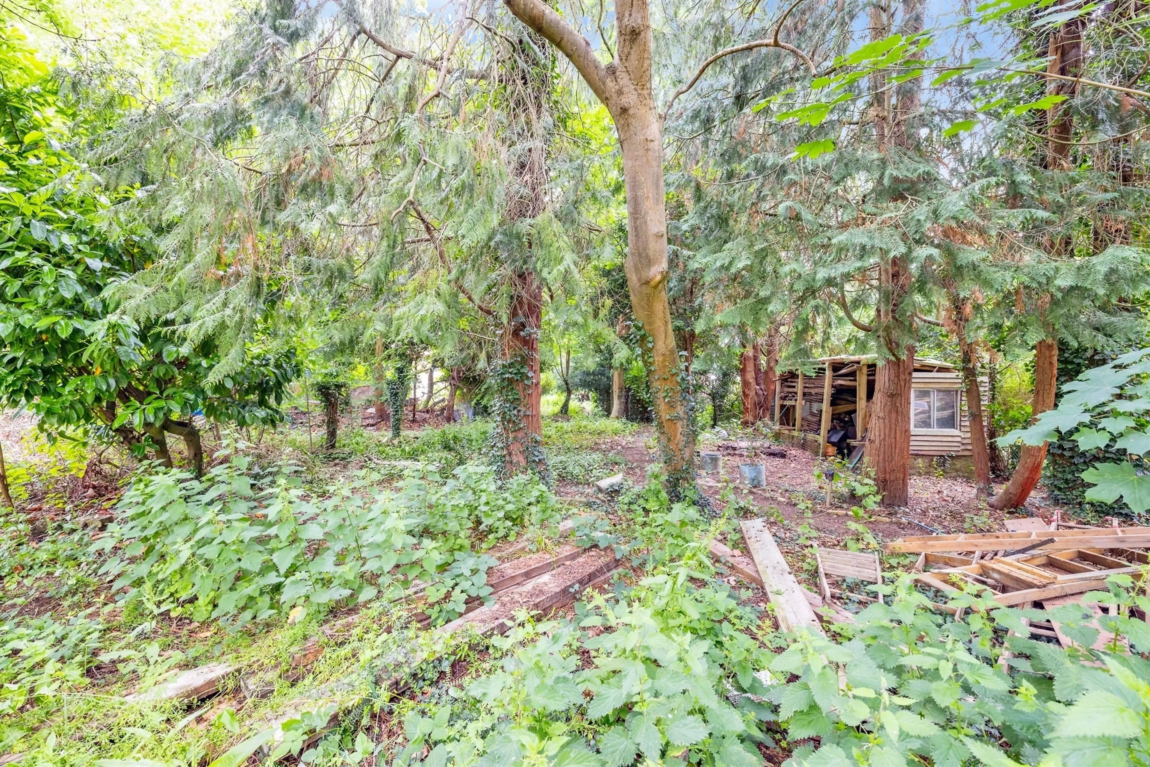 Property photo 14