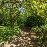 Property 29