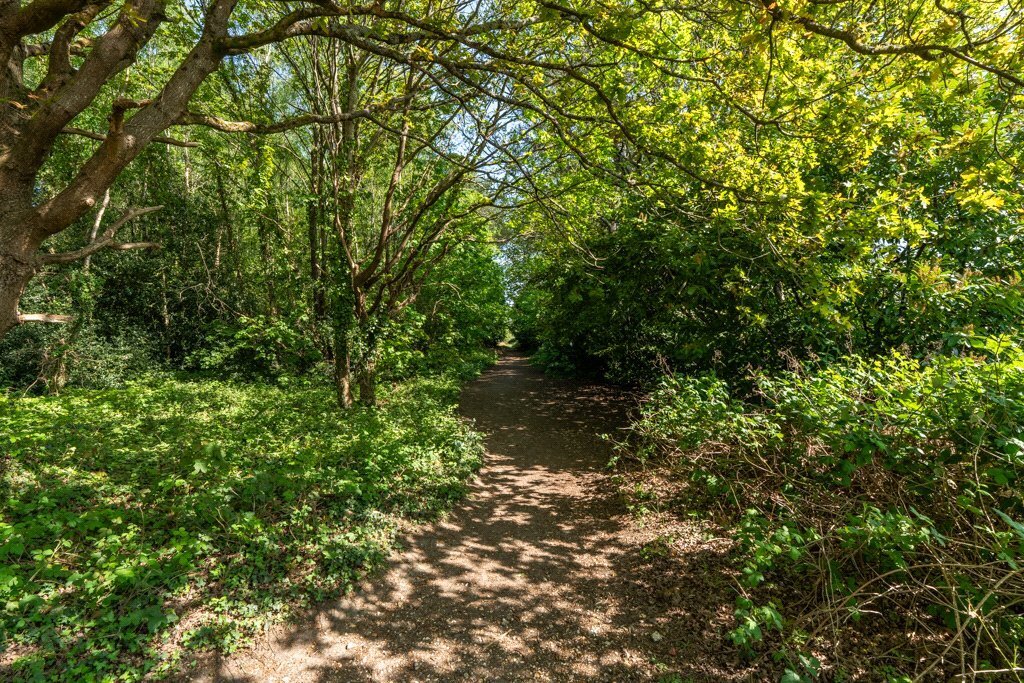 Glenwood Road, West Moors, Ferndown, Dorset, BH22 Image 29