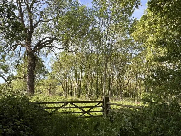 Woodland / Amenity Land at South Croxton, Leicestershire - about 2.15 acres