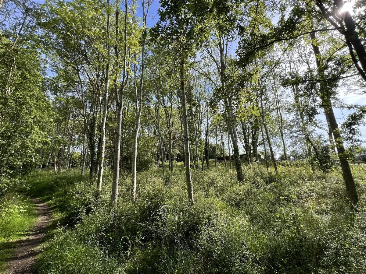 Woodland / Amenity Land at South Croxton, Leicestershire - about 2.15 acres