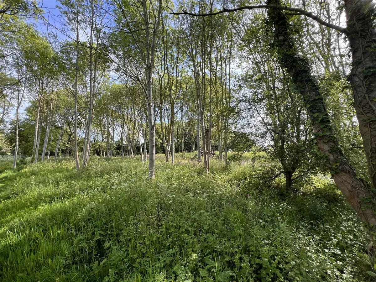 Woodland / Amenity Land at South Croxton, Leicestershire - about 2.15 acres