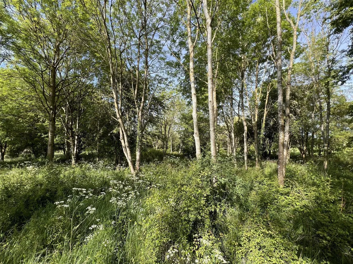 Woodland / Amenity Land at South Croxton, Leicestershire - about 2.15 acres