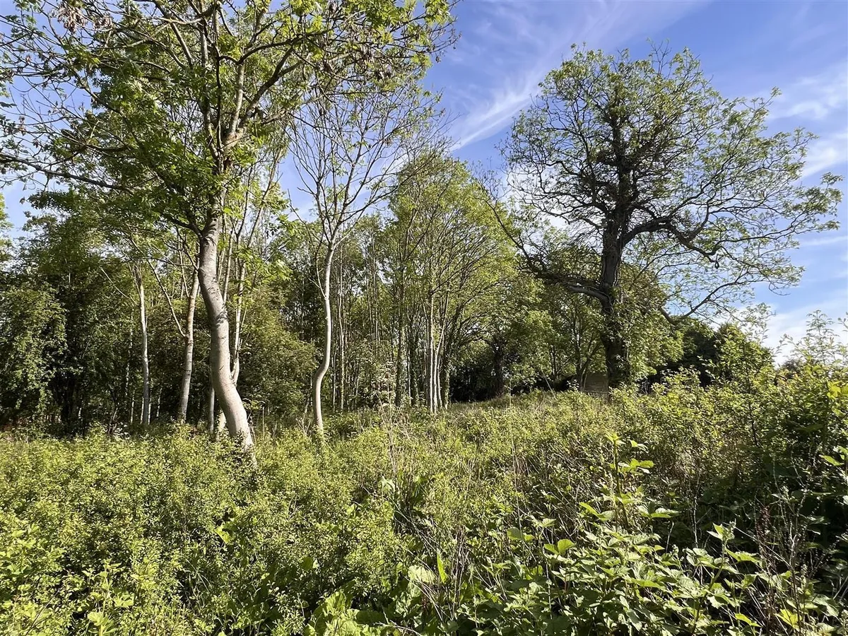 Woodland / Amenity Land at South Croxton, Leicestershire - about 2.15 acres
