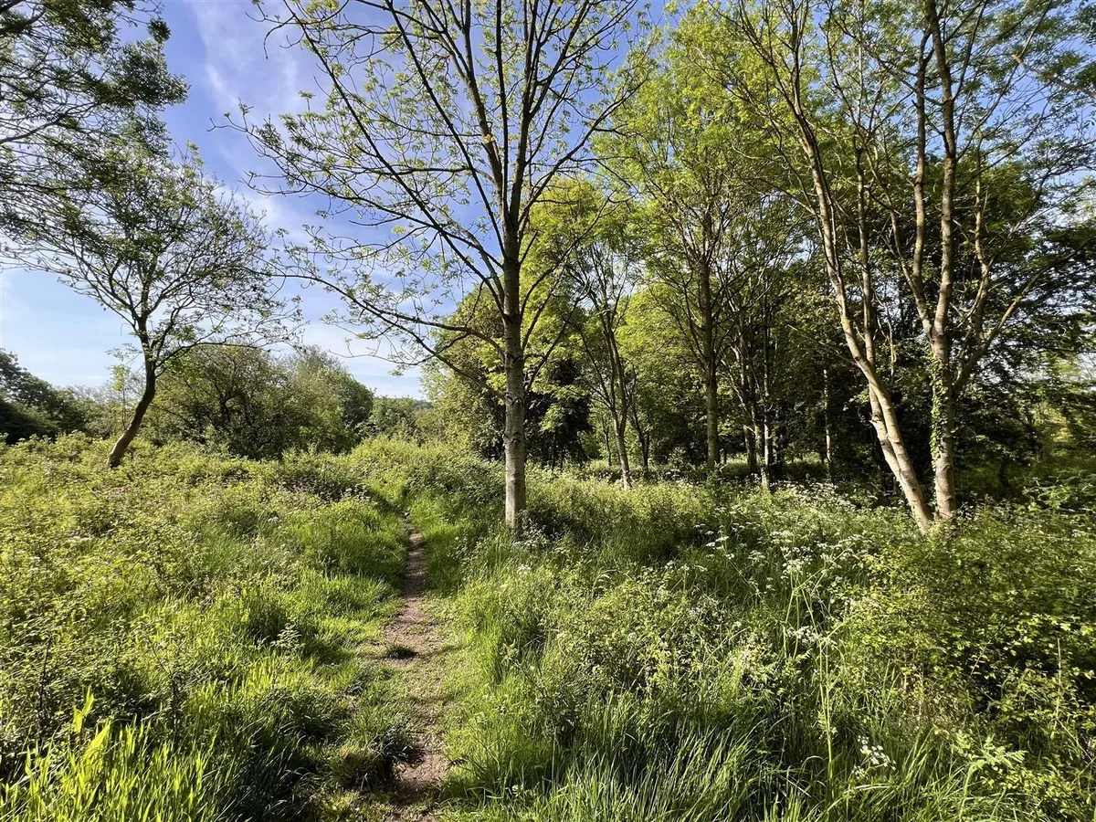 Woodland / Amenity Land at South Croxton, Leicestershire - about 2.15 acres