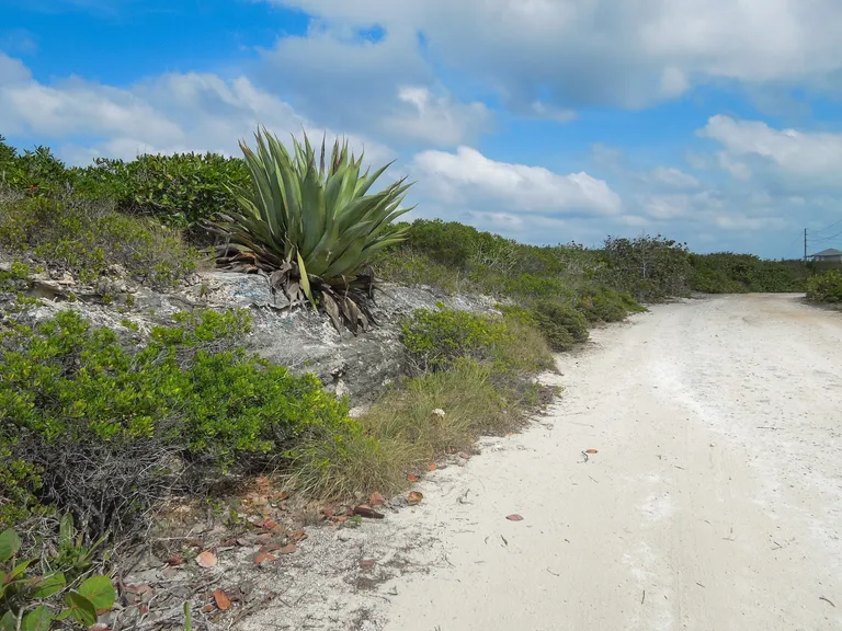 Whale Point Estates Eleuthera