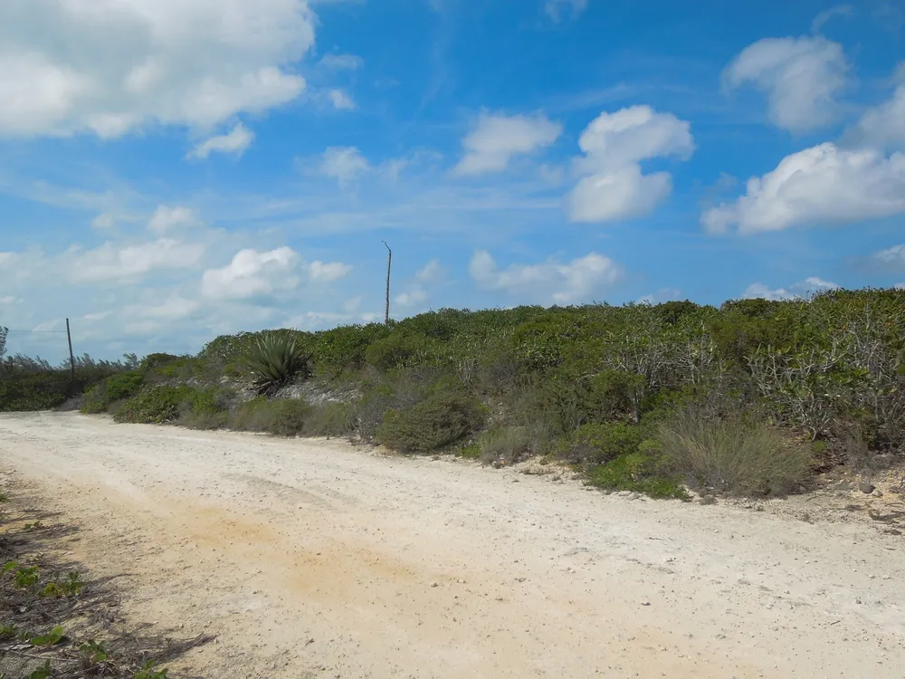 Whale Point Estates Eleuthera