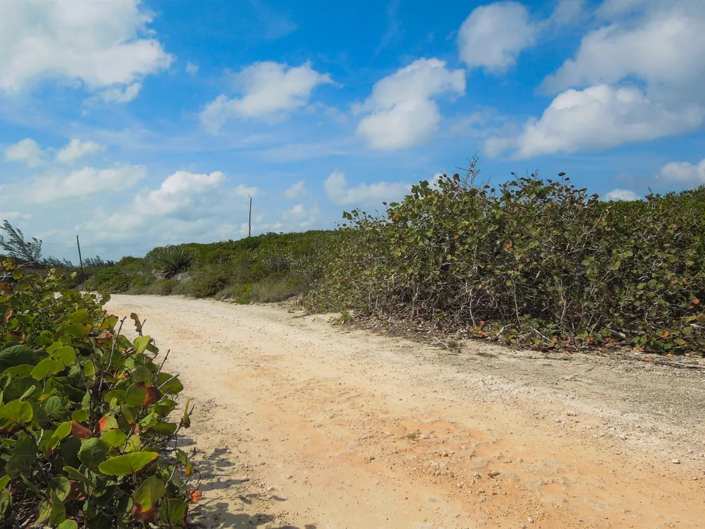 Whale Point Estates Eleuthera