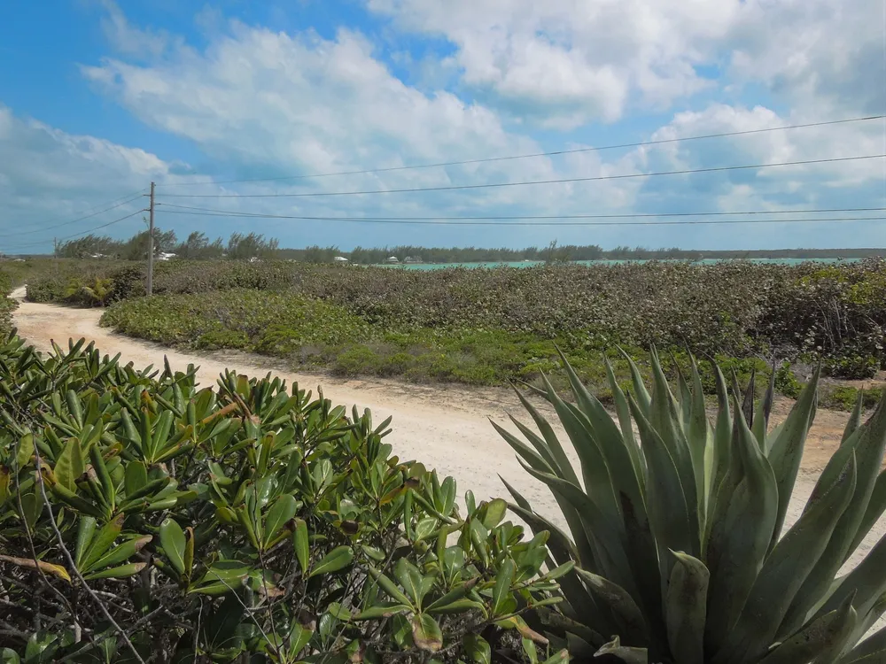 Whale Point Estates Eleuthera