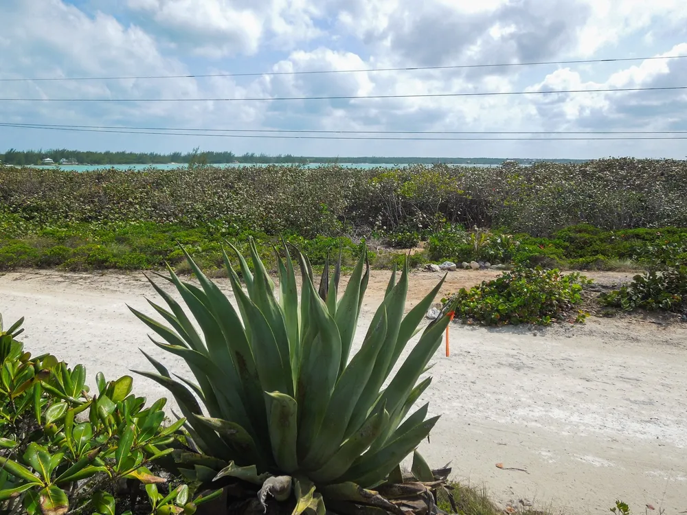 Whale Point Estates Eleuthera