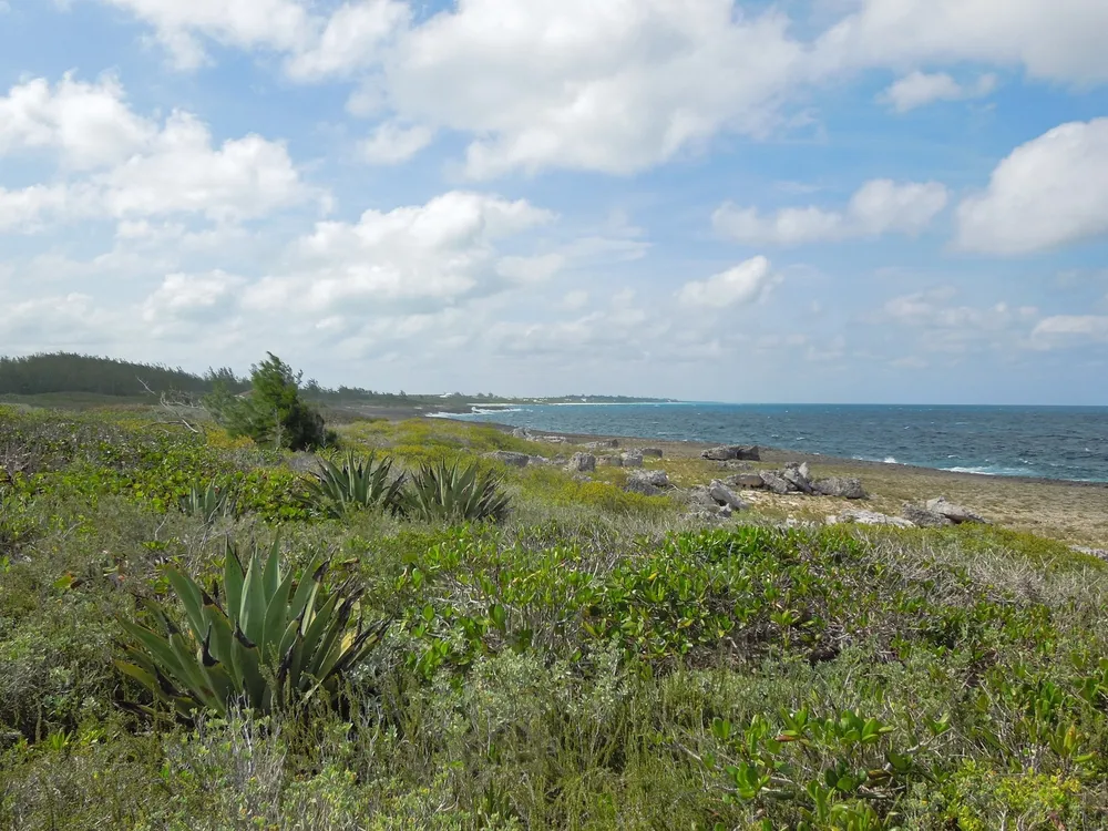 Whale Point Estates Eleuthera