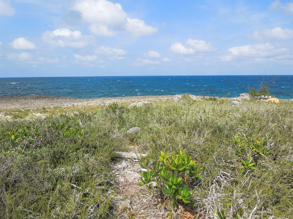Whale Point Estates Eleuthera