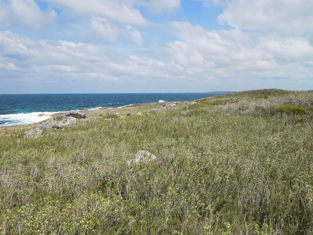 Whale Point Estates Eleuthera