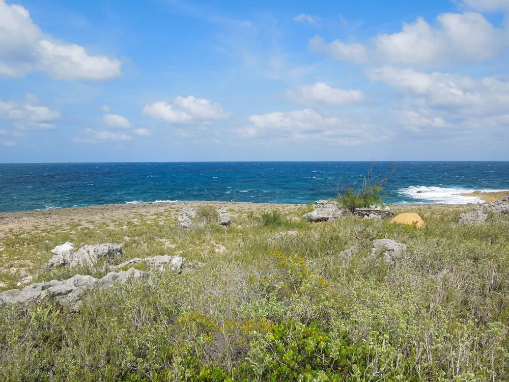 Whale Point Estates Eleuthera