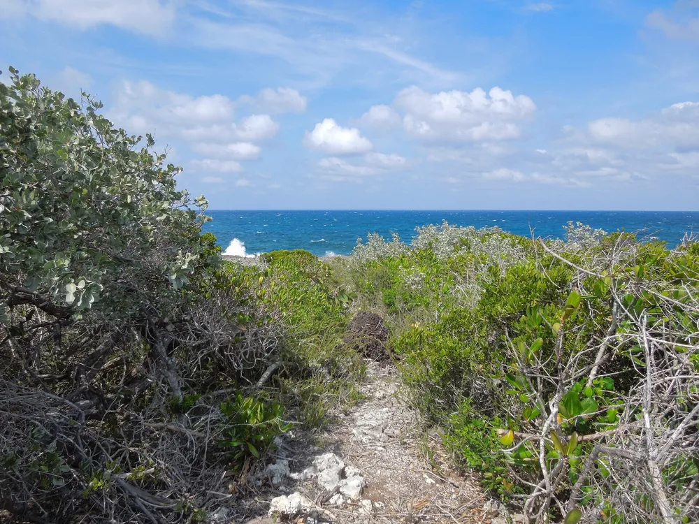 Whale Point Estates Eleuthera