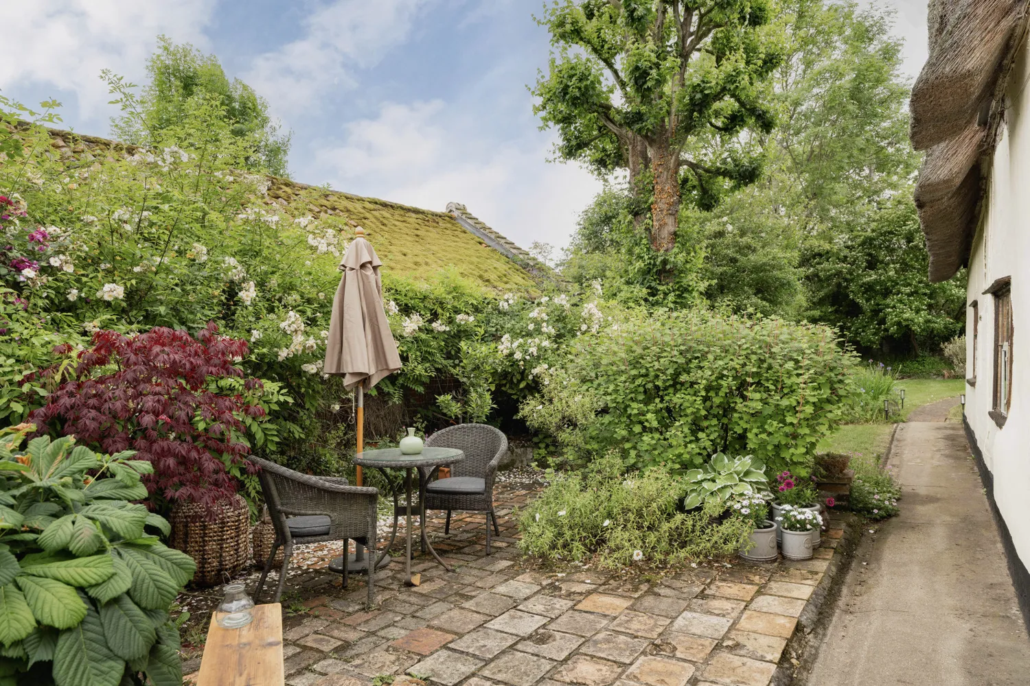 Low Road, Bunwell, NR16 photo 30