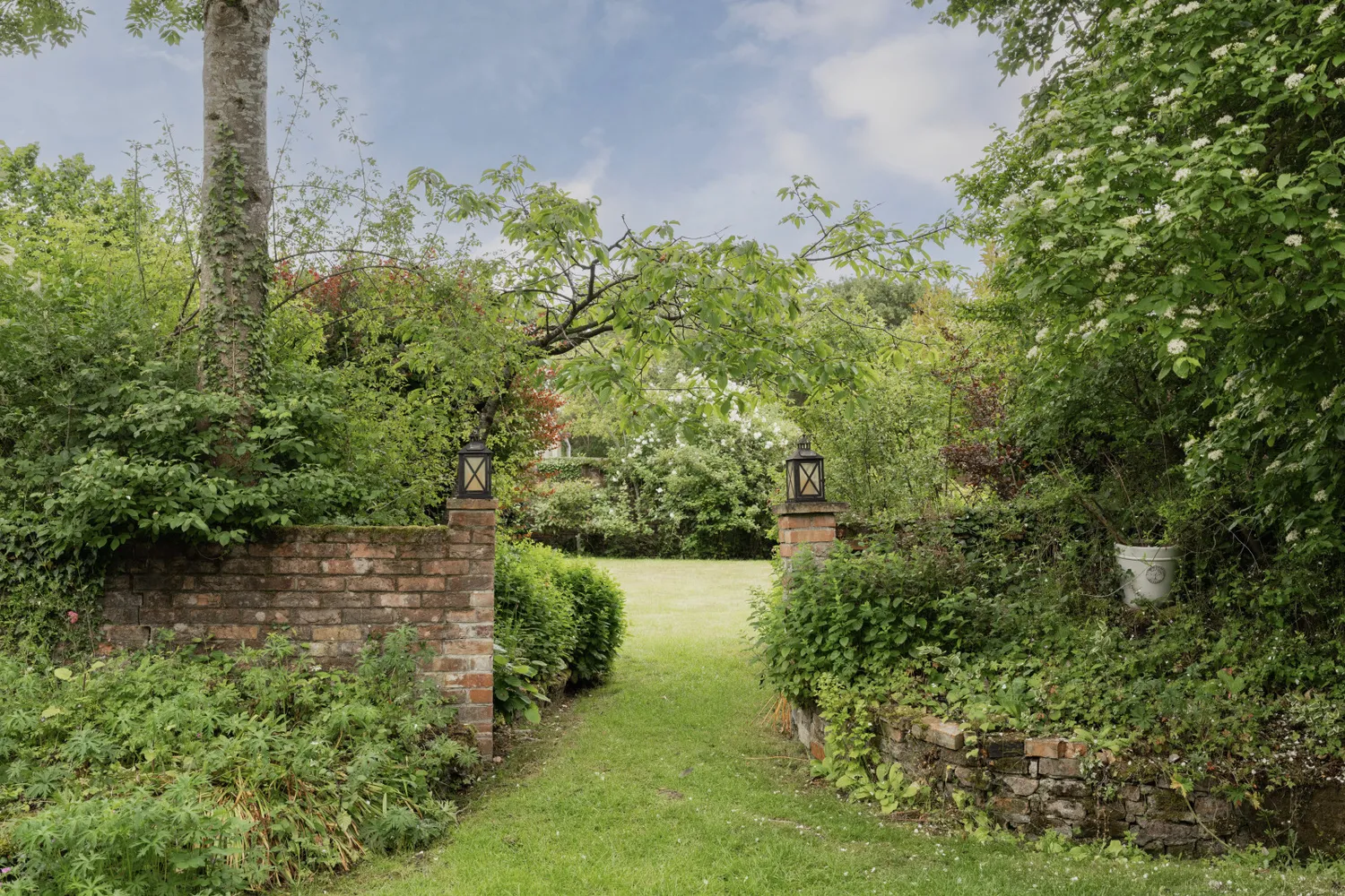 Low Road, Bunwell, NR16 photo 32