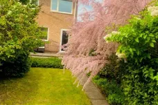 Amberley Green, Birmingham