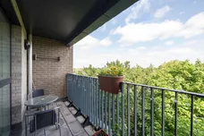 Manor Road, Ealing, W13 photo 8