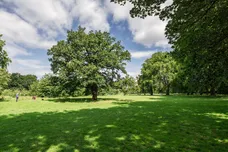 Manor Road, Ealing, W13 photo 9