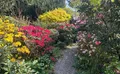 Property image gallery