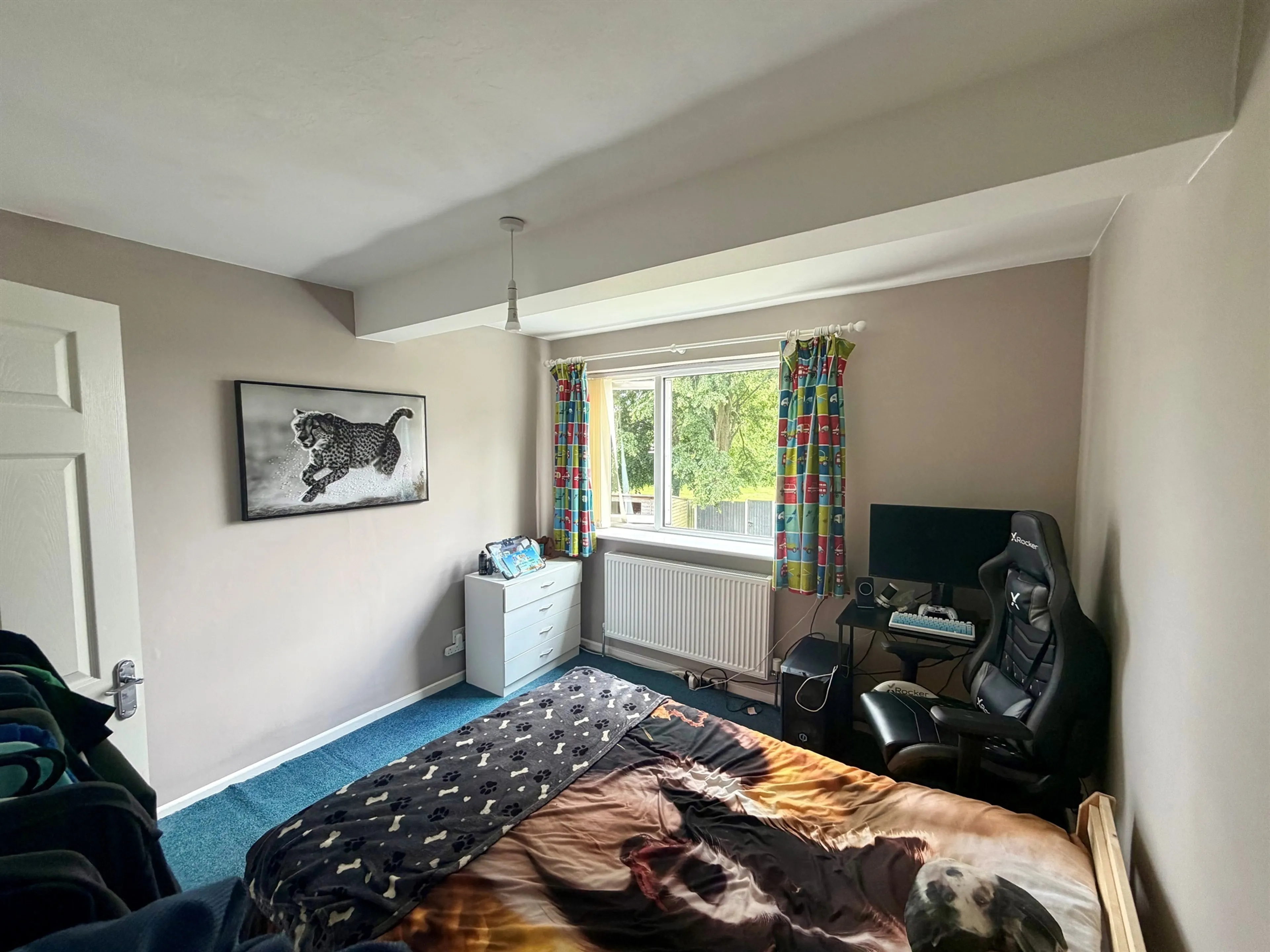 Property photo 13