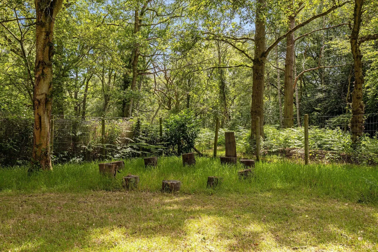 Fleet Hill, Wokingham, RG40 photo 18