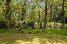 Fleet Hill, Wokingham, RG40 photo 18