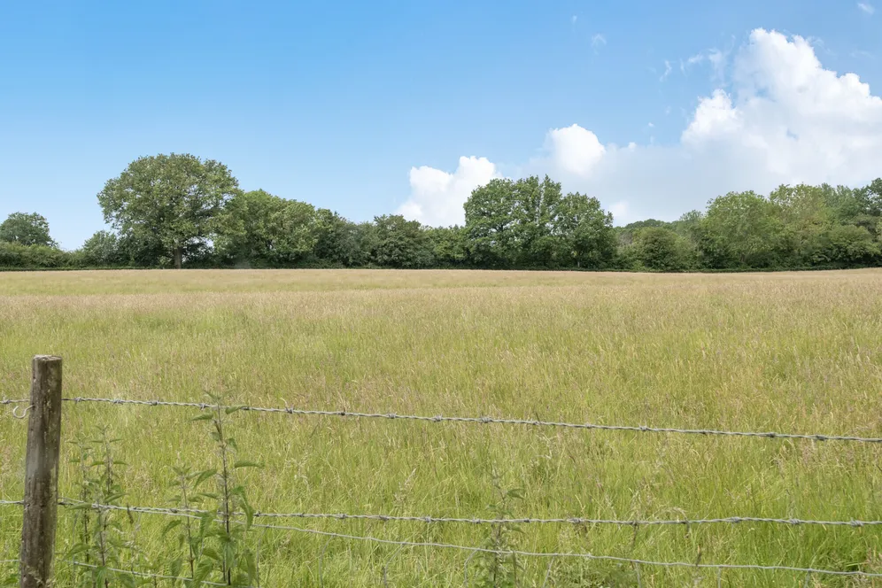 Hever Road, Hever, TN8 photo 6