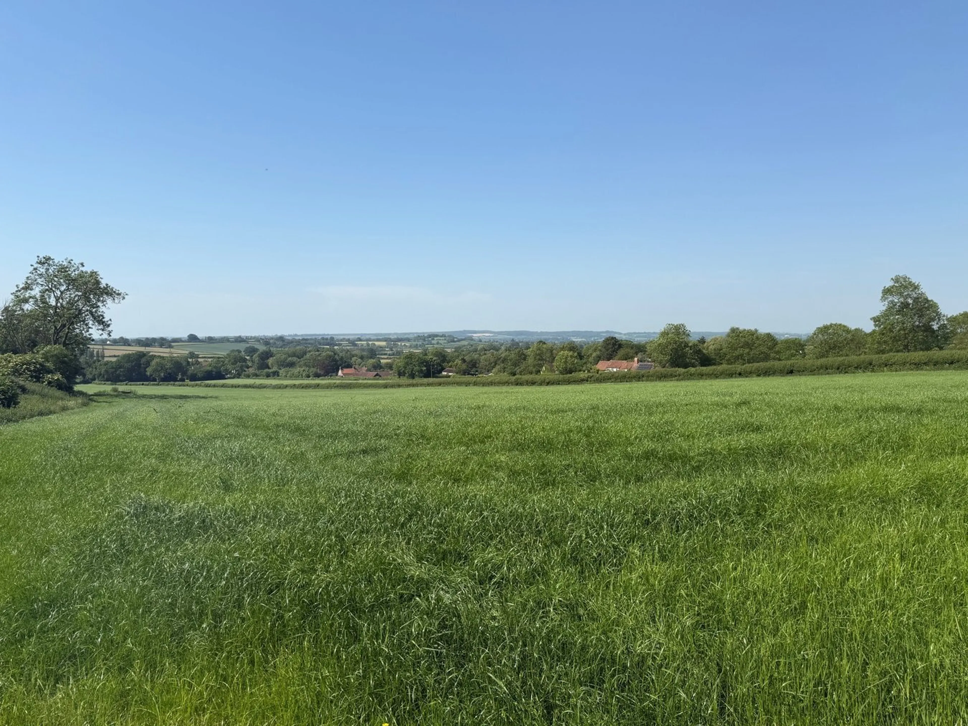 Withial, East Pennard, BA4