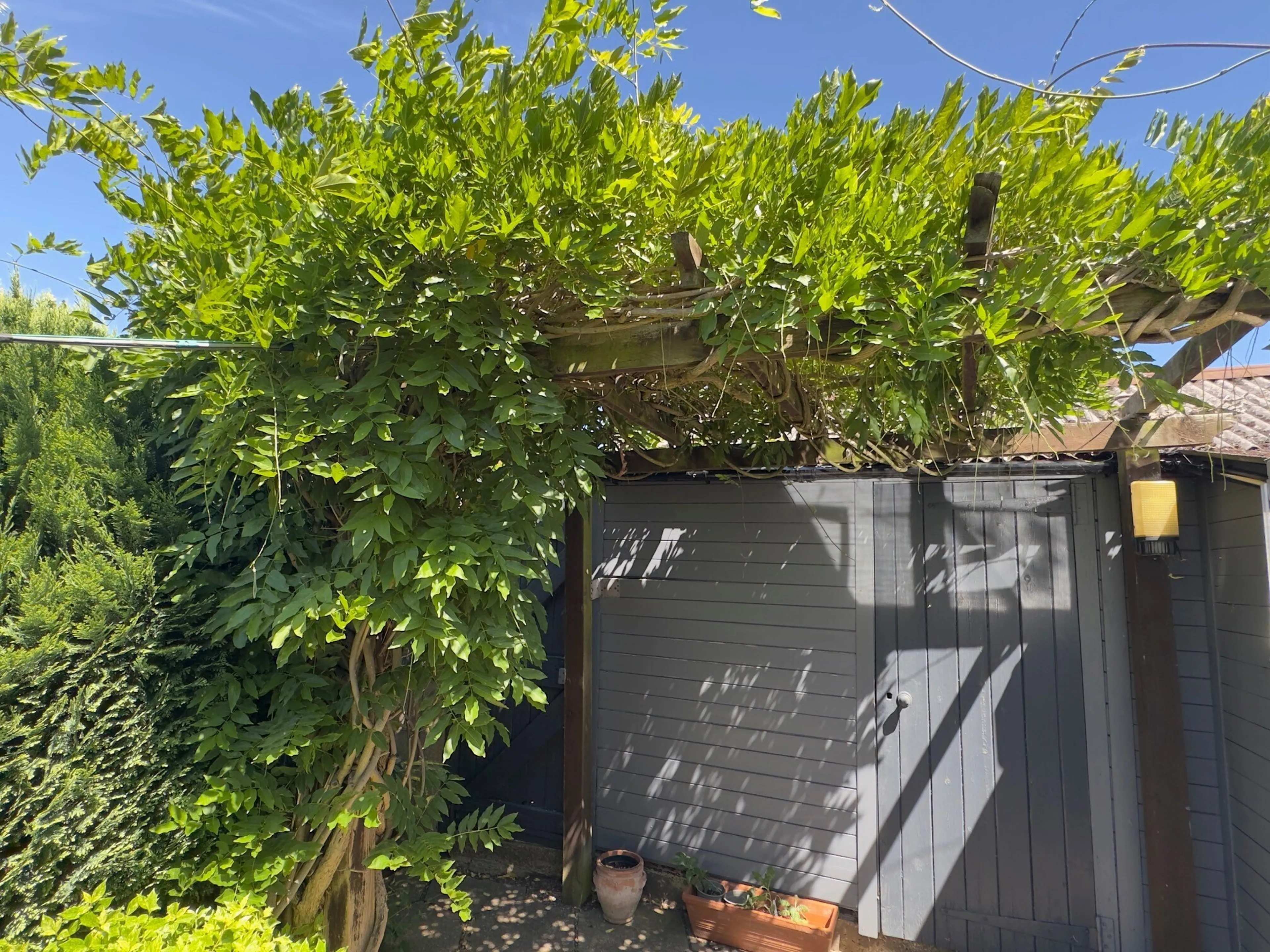 Property photo 23