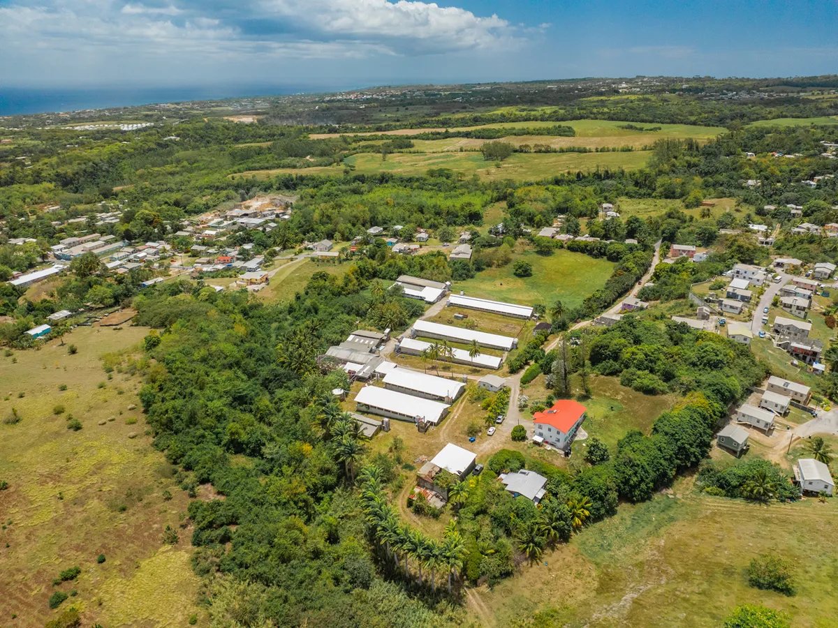 Rock Hall Land, St. Thomas, Barbados