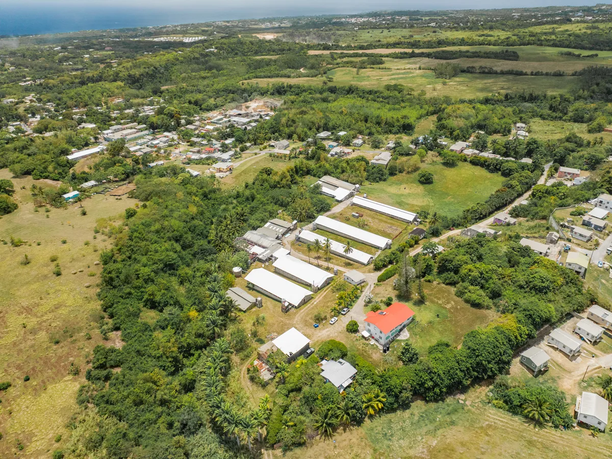 Rock Hall Land, St. Thomas, Barbados