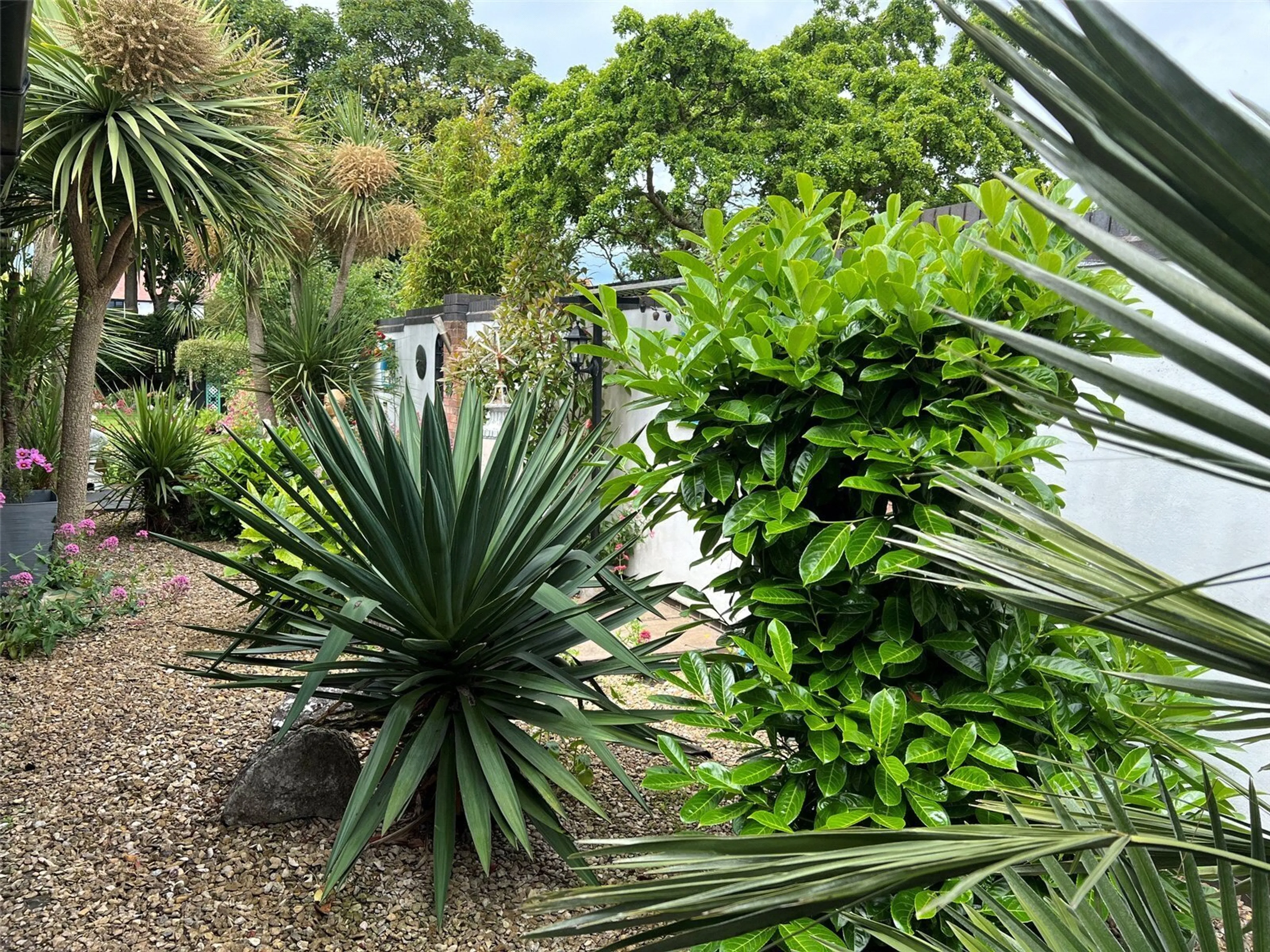 Property photo 20