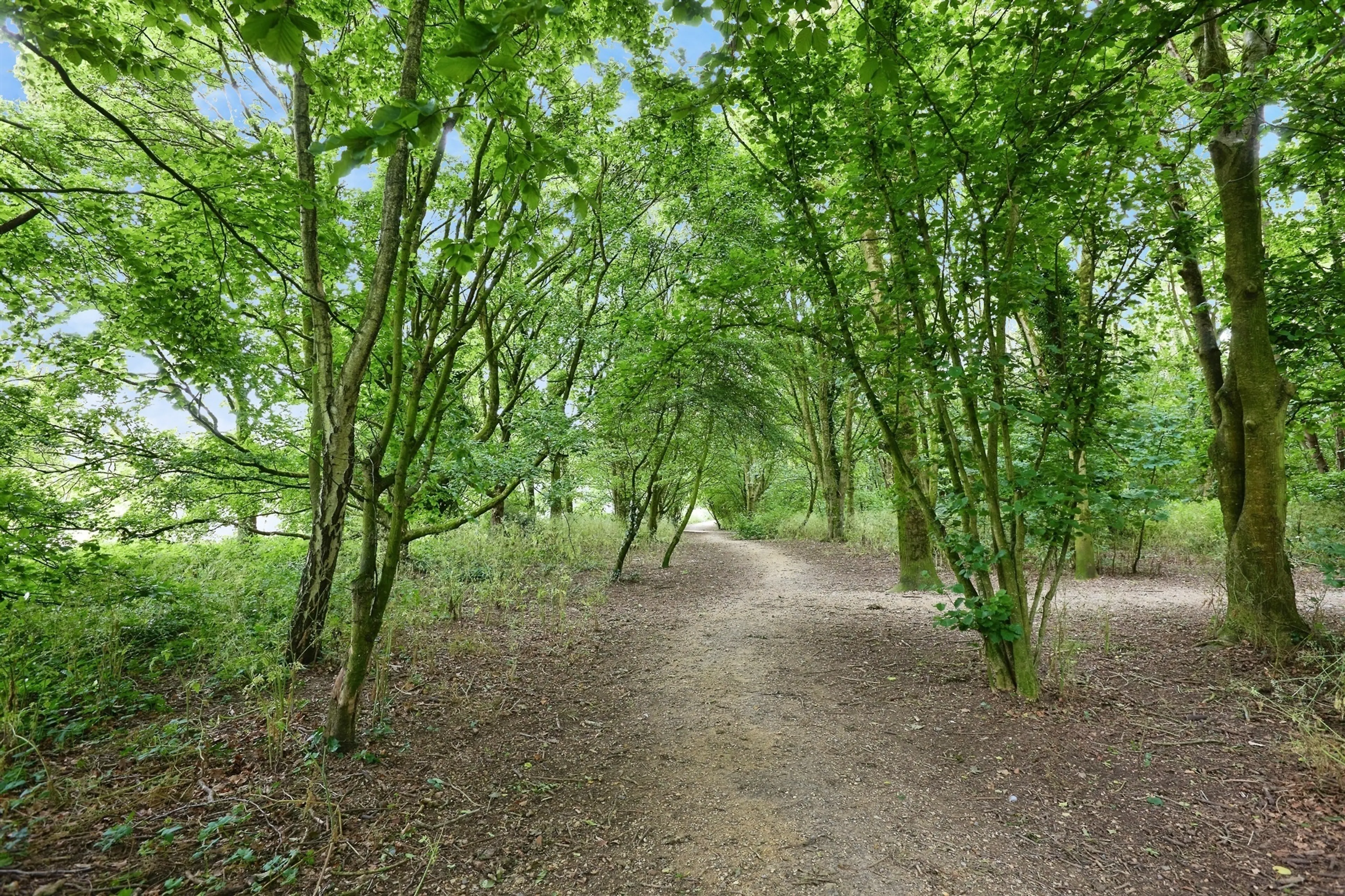 Property photo 13