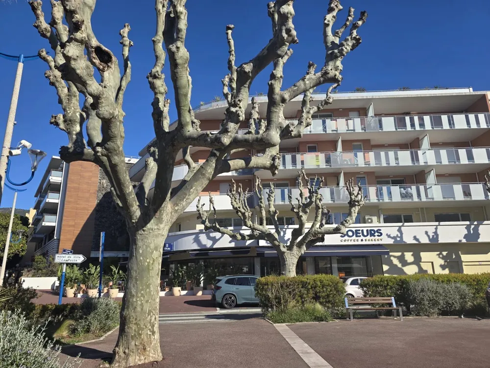 Cavalaire-sur-Mer, 83240, France