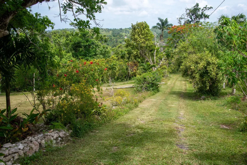MOUNT PLEASANT St. Ann