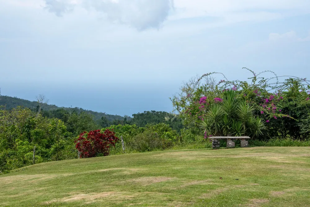MOUNT PLEASANT St. Ann